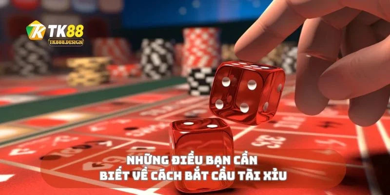 Cách Bắt Cầu Tài Xỉu Chính Xác Giúp Tăng Tỷ Lệ Thắng Lớn 1 Những điều bạn cần biết về cách bắt cầu tài xỉu