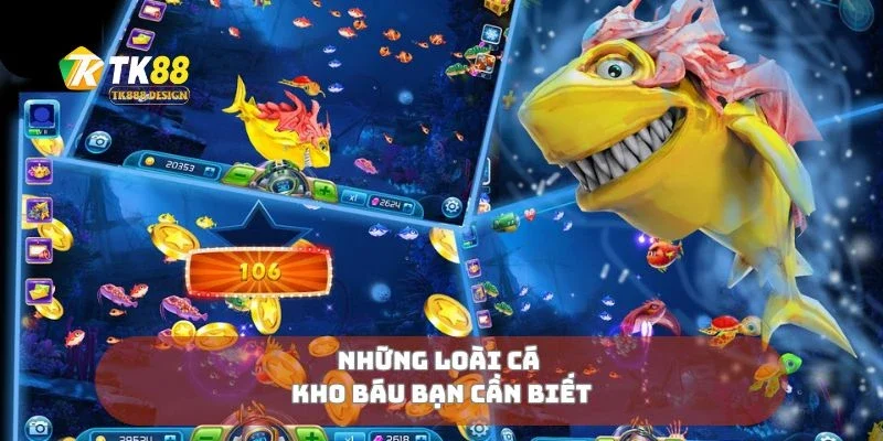 Hải Tặc Bắn Cá Truy Tìm Kho Báu Giữa Đại Dương Xanh 2 Những loài cá kho báu bạn cần biết