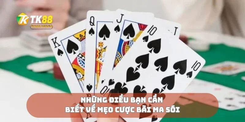 Mẹo Cược Bài Ma Sói Giúp Bạn Sống Sót Đến Phút Cuối 1 Những điều bạn cần biết về mẹo cược bài ma sói